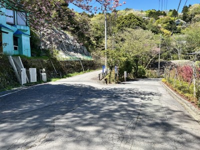 全面道路の様子