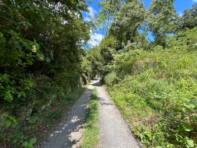 全面道路の様子