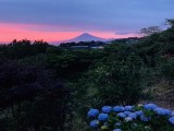 海と夕日と富士山を眺望する戸建・広々とした敷地で菜園も楽しめます！そのまま飲食店の営業やペンション経営・民泊営業も可能です。の写真